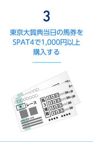 3.東京大賞典当日の馬券をSPAT4で1,000円以上購入する