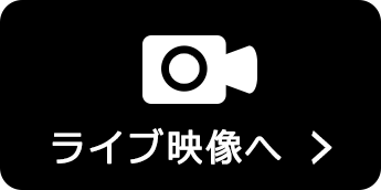 Cuf