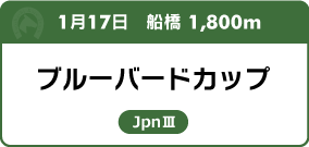 1月17日　船橋 1,800m ブルーバードカップ JpnⅢ