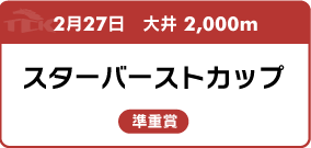 2月27日　大井 2,000m スターバーストカップ 準重賞