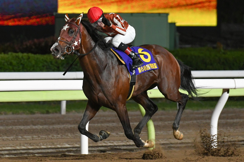 4.24（水）大井1,800m 第69回 羽田盃 [JpnⅠ]