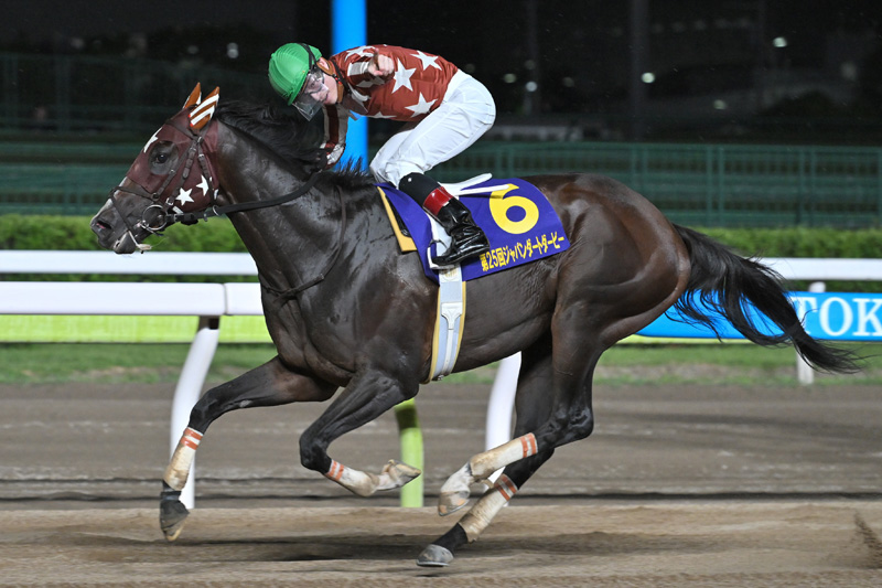 10.2（水）大井 2,000m 第1回 ジャパンダートクラシック [JpnⅠ]