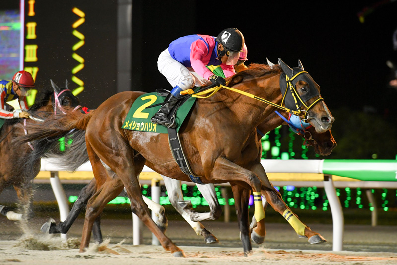 5.1（水）船橋 1,600m 第36回 かしわ記念 [JpnⅠ]