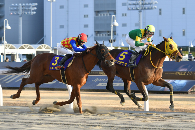 4.3（水）川崎 2,100m 第73回 川崎記念 [JpnⅠ]