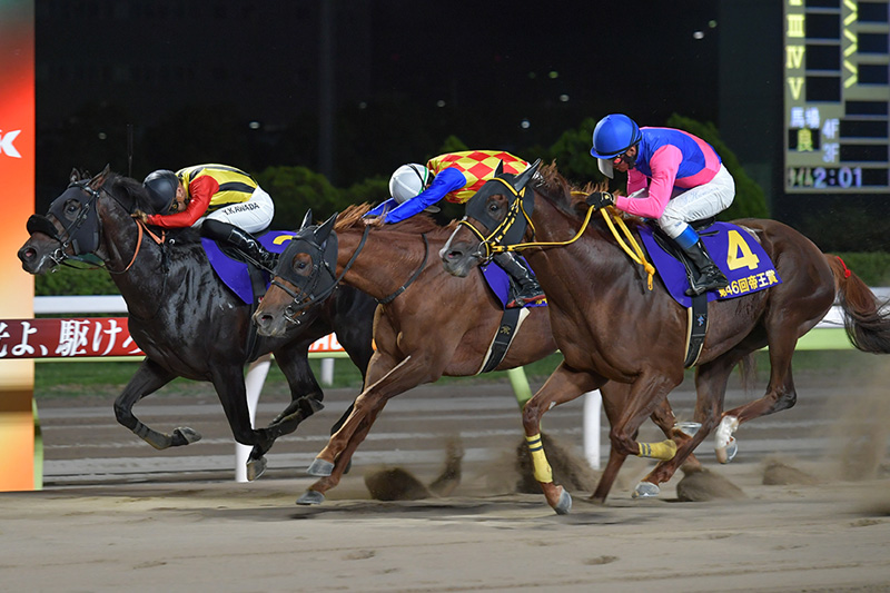 6.26（水）大井 2,000m 第47回 帝王賞 [JpnⅠ]