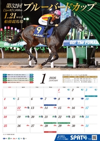 �J�����_�[