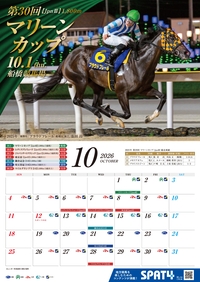 �J�����_�[