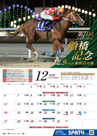 �J�����_�[