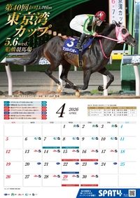 �J�����_�[