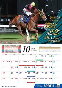 �J�����_�[