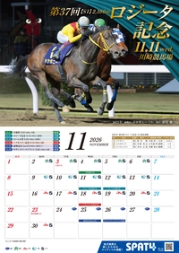 �J�����_�[