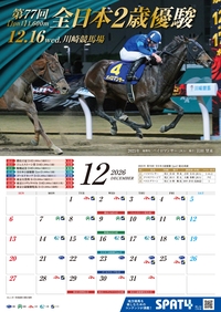 �J�����_�[