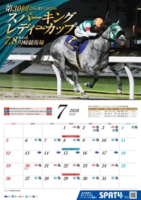 �J�����_�[