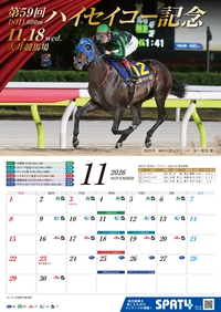 �J�����_�[