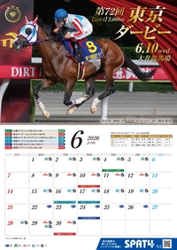 �J�����_�[