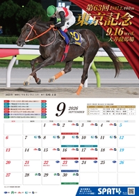 �J�����_�[