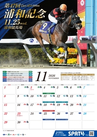 �J�����_�[