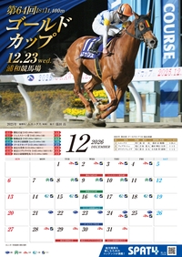 �J�����_�[