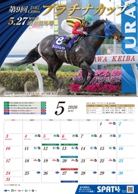 �J�����_�[