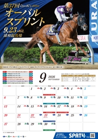 �J�����_�[