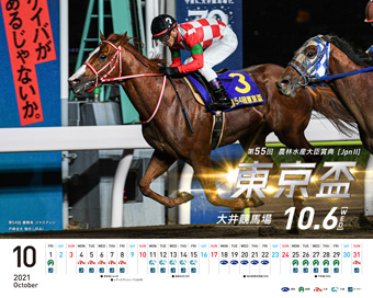 ダウンロード 南関東4競馬場 Nankankeiba Com ダウンロード 南関東4競馬場 Nankankeiba Com