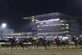 出走 表 競馬 大井 大井競馬のクラス分け、賞金について