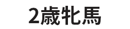 2歳牝馬