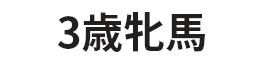 3歳牝馬