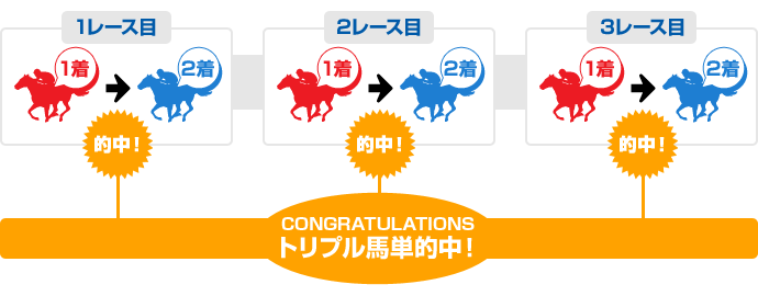 Spat4loto トリプル馬単とは 南関東4競馬場 Nankankeiba Com