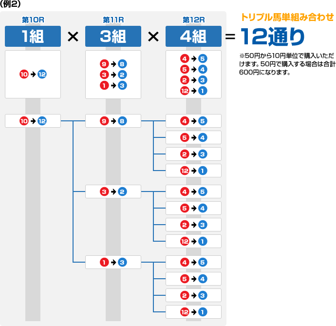 Spat4loto トリプル馬単を買うには 南関東4競馬場 Nankankeiba Com