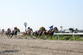 浦和競馬場 南関東4競馬場 Nankankeiba Com