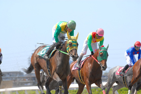 浦和競馬場|南関東4競馬場|nankankeiba.com 浦和競馬場|南関東4競馬場|nankankeiba.com