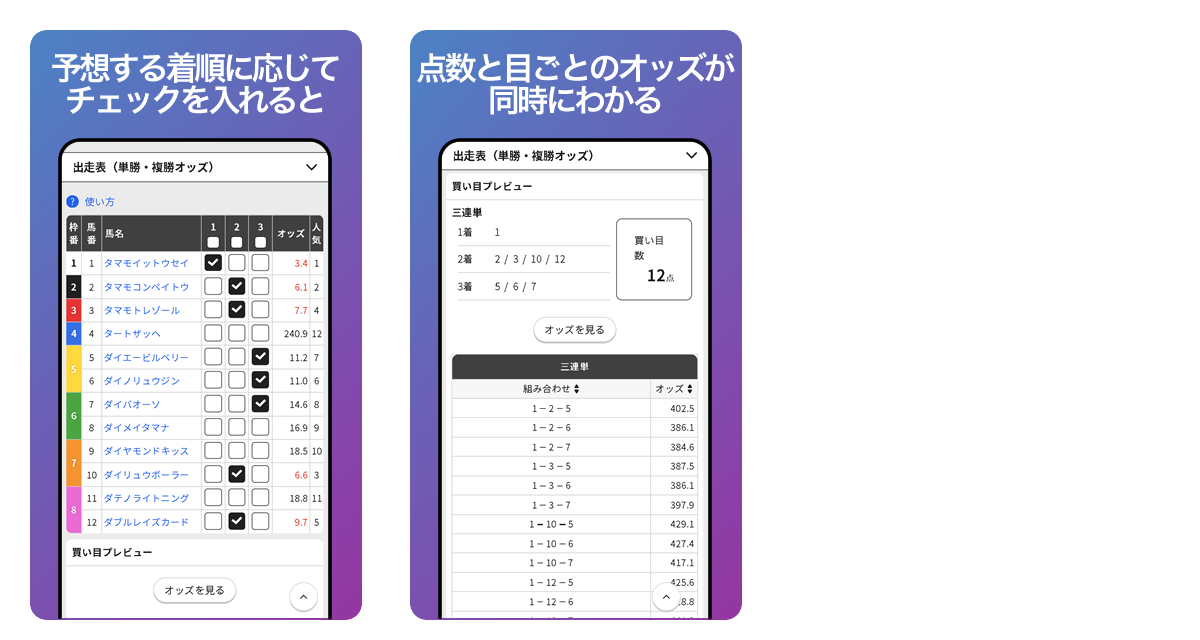 【着に応じてチェックを入れる 買い目点数と展開された目ごとのオッズが表示】
