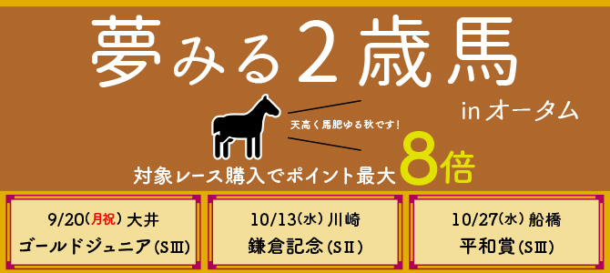南関東4競馬場 Nankankeiba Com 南関東4競馬場 Nankankeiba Com