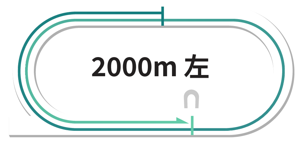 _[g2,000m